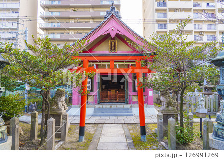 土佐稲荷神社　石宮神社　正月（大阪府大阪市西区北堀江） 126991269