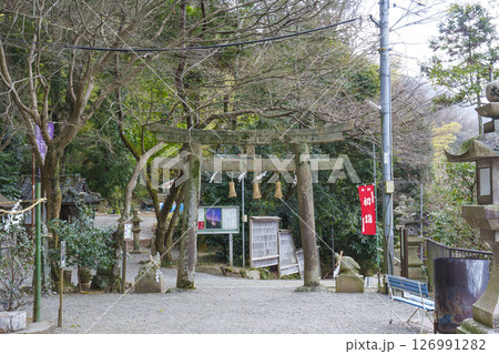 玉祖神社 境内(大阪府八尾市神立) 玉祖神社 境内(大阪府八尾市神立) 126991282