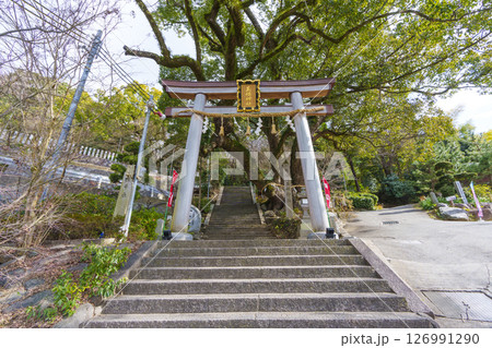 玉祖神社 社頭鳥居(大阪府八尾市神立) 玉祖神社 社頭鳥居(大阪府八尾市神立) 126991290