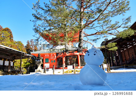 高野山 三鈷の松と根本大塔と雪だるま 高野山 三鈷の松と根本大塔と雪だるま 126991688