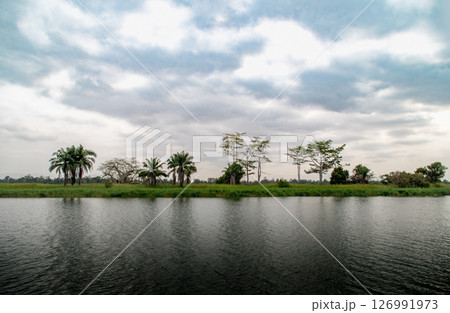 Tropical Kwanza Riverbank with Palms and Trees Under Cloudy Sky, Angola 126991973