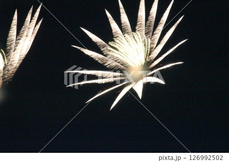 関西の花火大会　いたみ花火大会　兵庫県　伊丹空港 126992502