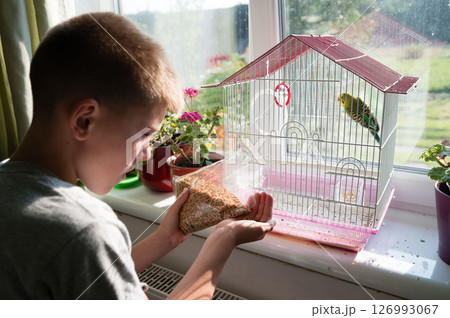 Boy feeding his pet bird. A heartwarming moment of care and connection between a young boy and his feathered friend. Boy feeding his pet bird. A heartwarming moment of care and connection between a young boy and his feathered friend. 126993067