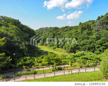 うるいど自然公園(市原市) 126993130