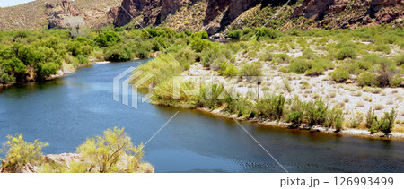 Early Summer Salt River Recreation Area Arizona Early Summer Salt River Recreation Area Arizona 126993499