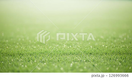Dew Drops on Fresh Green Grass 126993666