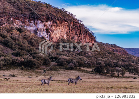 Kenya Photographers By Antony Trivet Photography Kenya Photographers By Antony Trivet Photography 126993832