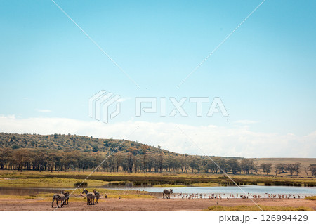 Kenya Photographers By Antony Trivet Photography 126994429