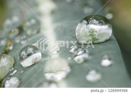 Kenya Photographers By Antony Trivet Photography Kenya Photographers By Antony Trivet Photography 126994566