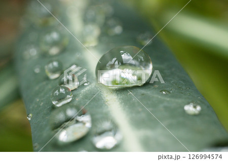 Kenya Photographers By Antony Trivet Photography Kenya Photographers By Antony Trivet Photography 126994574
