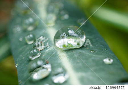 Kenya Photographers By Antony Trivet Photography 126994575
