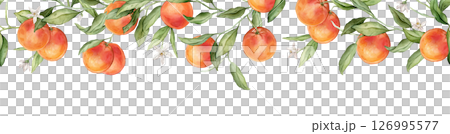 Seamless horizontal frame or banner tropical grapefruit with pink flowers. Hand drawn watercolor illustration on white isolated background. Citrus pattern for frame or banner. Fruit with green leaves 126995577