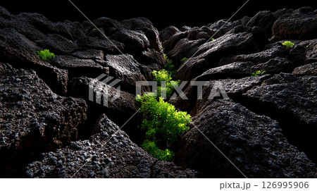 A vibrant splash of green springs forth from rugged black rock formations. 126995906