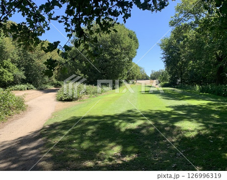 イギリスの公園 126996319