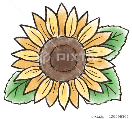 水彩風のひまわりのイラスト 126996565