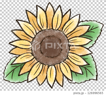 水彩風のひまわりのイラスト 126996565