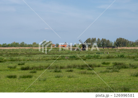 晴天のザーンセ・スカンス の風景(木造家屋と緑地)/オランダ 晴天のザーンセ・スカンス の風景(木造家屋と緑地)/オランダ 126996581