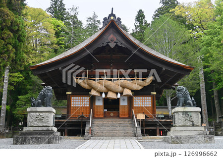 長野県の諏訪大社 下社秋宮 神楽殿 長野県の諏訪大社 下社秋宮 神楽殿 126996662