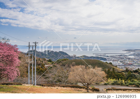 焼津市の笛吹段公園から見た焼津の街並みと海と空の風景(静岡県) 126996935