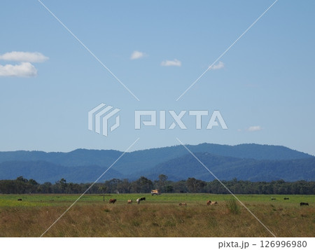 Bruce Hwy沿いの風景　 Lethebrook QLD　オーストラリア 126996980