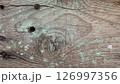 Rustic wooden surface with green and gray texture patterns 126997356