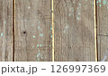 Weathered wooden floor with vibrant green accents and cracks 126997369
