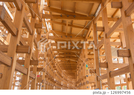 大阪万博の大屋根リング 大阪万博の大屋根リング 126997456