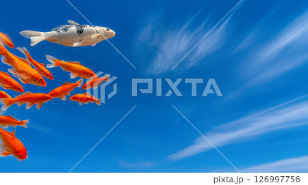 Golden fish in the sky against the blue sky, fantastic picture with koi fish soaring in the sky, surreal fish create a surreal atmosphere and magic of a fairytale day and nature, copy space 126997756