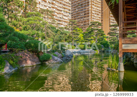 Awe view on Japanese garden of Monaco Awe view on Japanese garden of Monaco 126999933