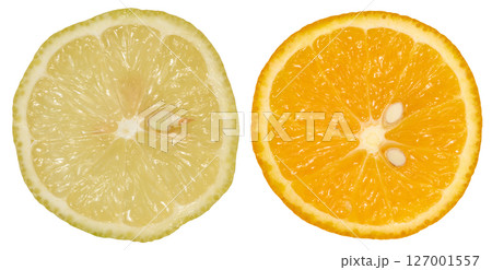 Two citrus fruit slices, a lemon and an orange, isolated background 127001557