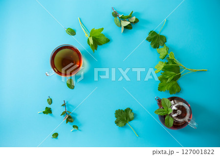 Green tea from currant and mint leaves in a glass teapot Green tea from currant and mint leaves in a glass teapot 127001822