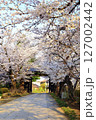 満開の桜と石畳道 127002442