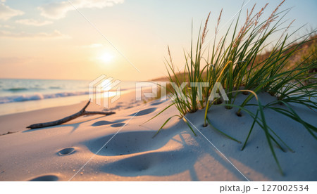 Tranquil beach sunset with sand and grass. 127002534