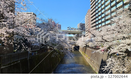 板橋 127002644