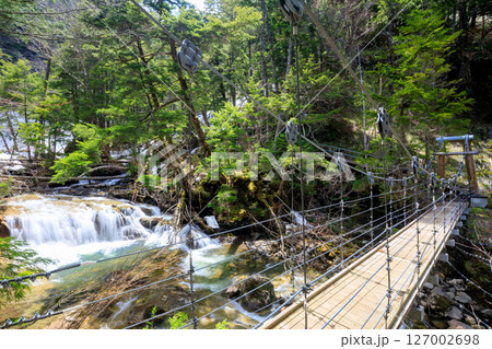 初夏の小大野川　三本滝遊歩道　長野県松本市 127002698