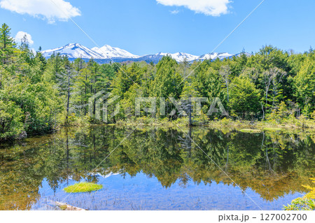 初夏の牛留池　長野県松本市 127002700