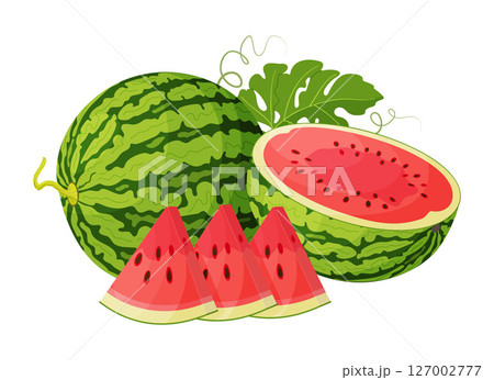 Red watermelon whole, half, cut into wedges and green leaves. Hand drawn trendy flat style Red watermelon whole, half, cut into wedges and green leaves. Hand drawn trendy flat style 127002777