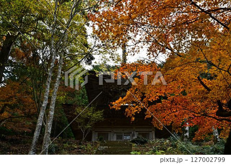 秋の荘厳寺 秋の荘厳寺 127002799