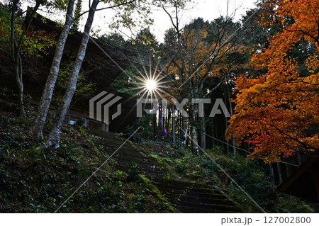 秋の荘厳寺 秋の荘厳寺 127002800