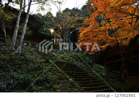 秋の荘厳寺 127002801