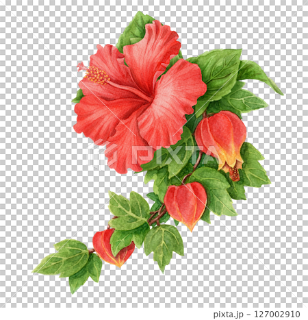 Abuchiron twig with red Hibiscus flower elongated summer arrangement. Hand drawn watercolor botanical art. Vacation vibe graphic element. Perfect for vibrant card template and holiday season design. Abuchiron twig with red Hibiscus flower elongated summer arrangement. Hand drawn watercolor botanical art. Vacation vibe graphic element. Perfect for vibrant card template and holiday season design. 127002910