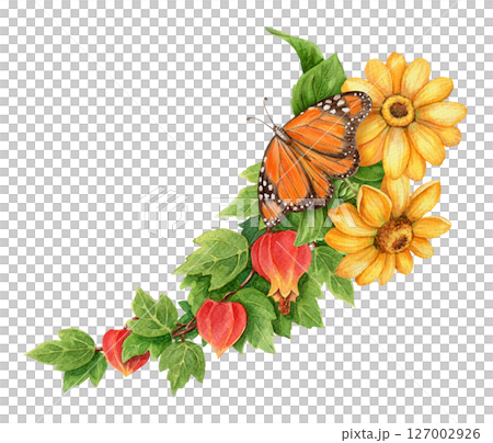 Abuchiron twig with sunflower and Monarch butterfly summer arrangement. Hand drawn watercolor art with leaf. Vacation graphic element. Perfect for summer card template and holiday season design. 127002926
