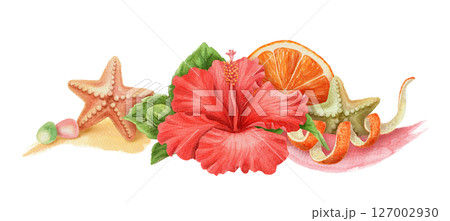 Summer wide arrangement with Hibiscus flower and starfish. Hand drawn watercolor artwork with orange and brushstroke. Beach vibe graphic element. Perfect for card template and holiday season design. Summer wide arrangement with Hibiscus flower and starfish. Hand drawn watercolor artwork with orange and brushstroke. Beach vibe graphic element. Perfect for card template and holiday season design. 127002930