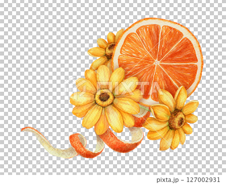 Orange slice with twisted peel and yellow flower arrangement. Hand drawn watercolor food illustration. Citrus image with realistic texture. Perfect for summer card template and cute sticker design. Orange slice with twisted peel and yellow flower arrangement. Hand drawn watercolor food illustration. Citrus image with realistic texture. Perfect for summer card template and cute sticker design. 127002931