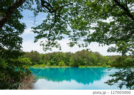 裏磐梯 初夏の弁天沼 裏磐梯 初夏の弁天沼 127003000