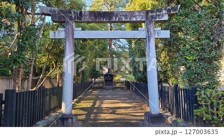 浅間神社の富士 127003635