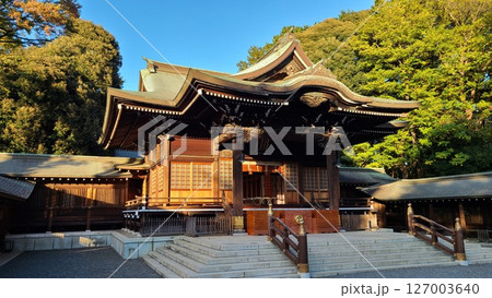 井草八幡宮拝殿 127003640