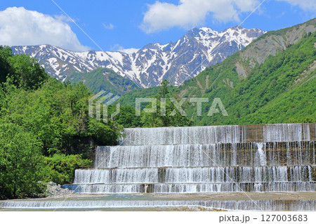 初夏の白馬 残雪の五竜岳 初夏の白馬 残雪の五竜岳 127003683