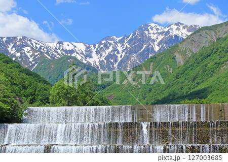 初夏の白馬　残雪の五竜岳 127003685