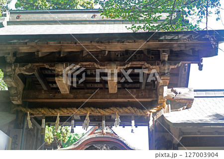 香川県金刀比羅宮社務所門より表書院を臨む 127003904